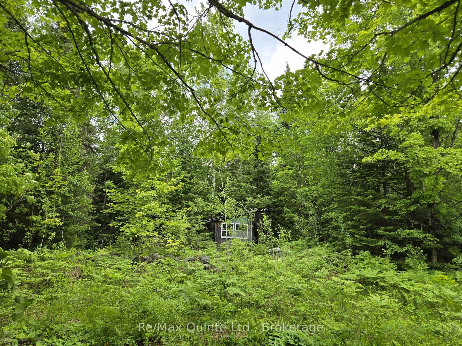 40 Marquardt Road • Cloyne, ON photo 13