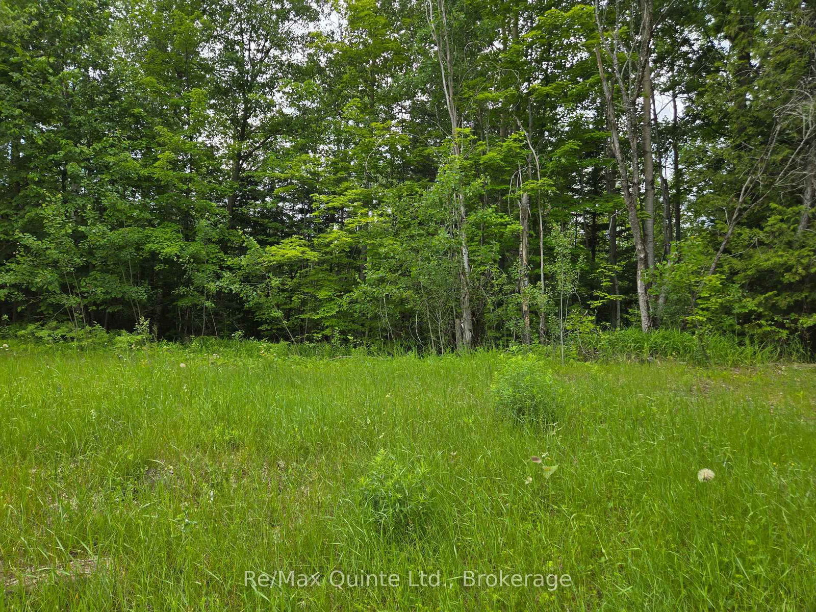 40 Marquardt Road • Cloyne, ON photo 14
