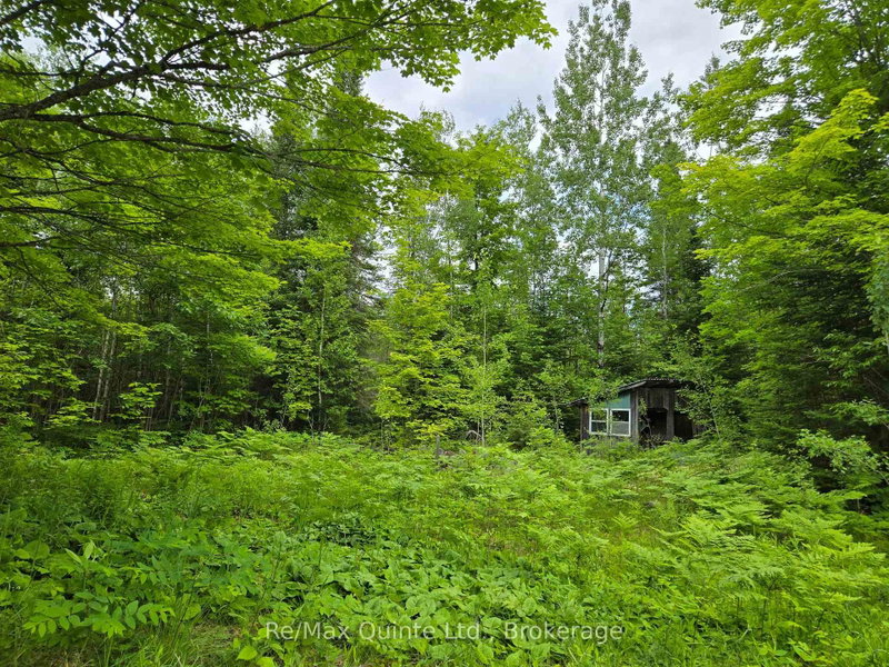 40 Marquardt Road