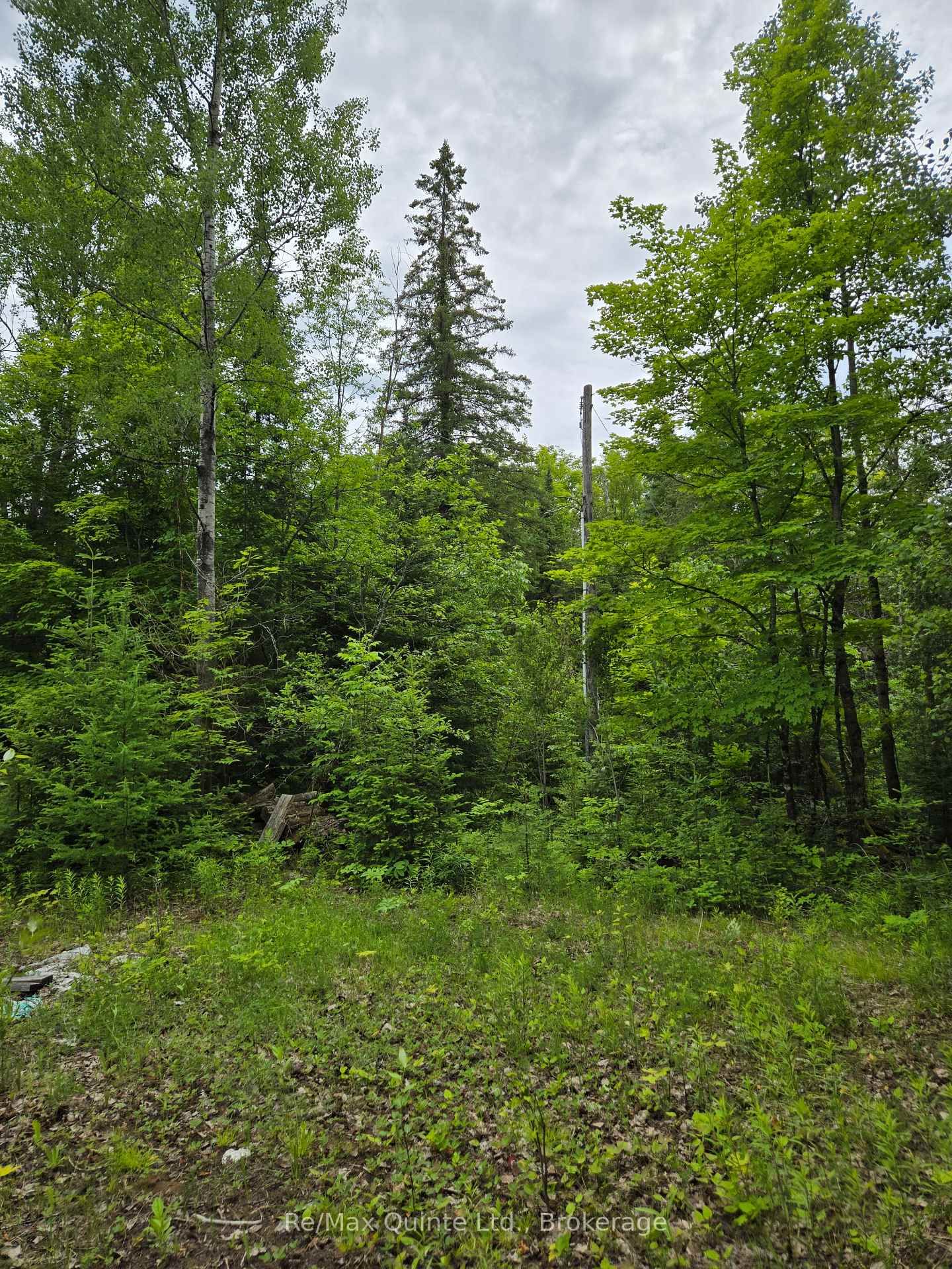40 Marquardt Road • Cloyne, ON photo 5
