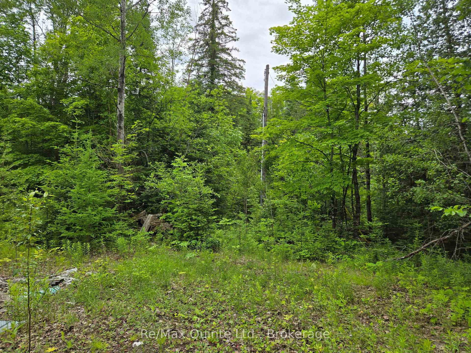 40 Marquardt Road • Cloyne, ON photo 6
