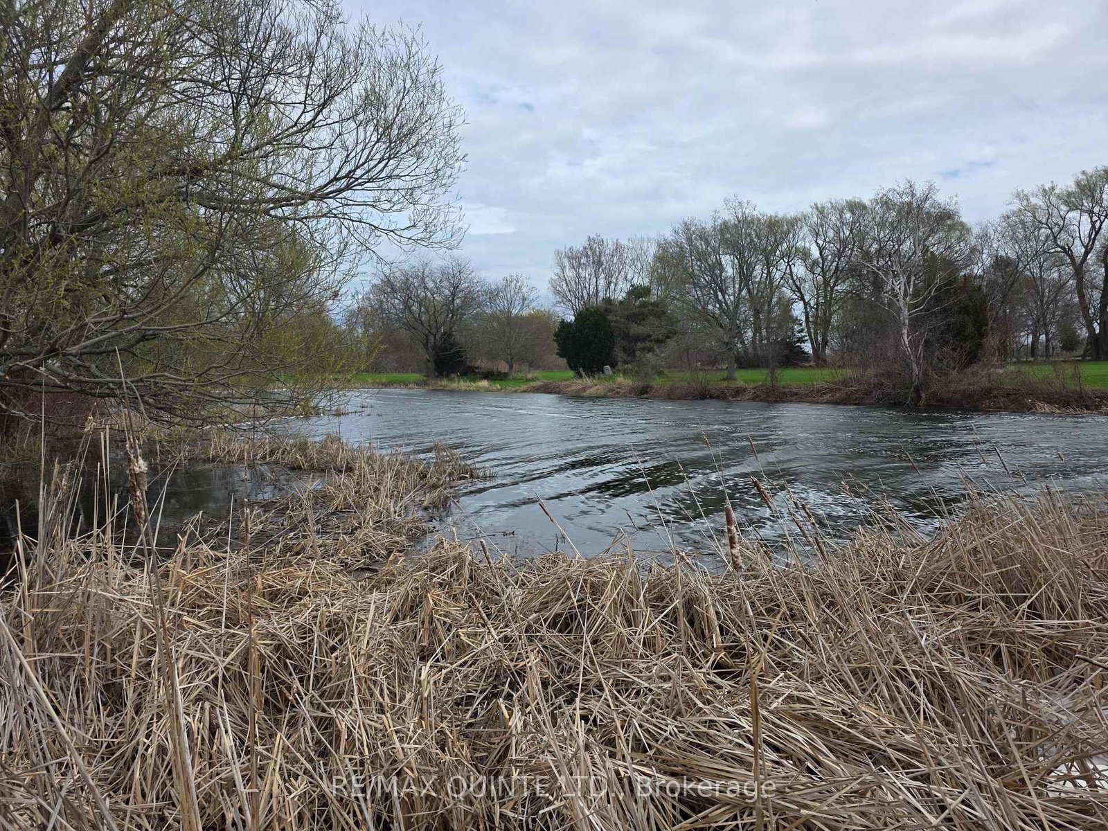 15775 Loyalist Parkway • Prince Edward County, ON photo 39