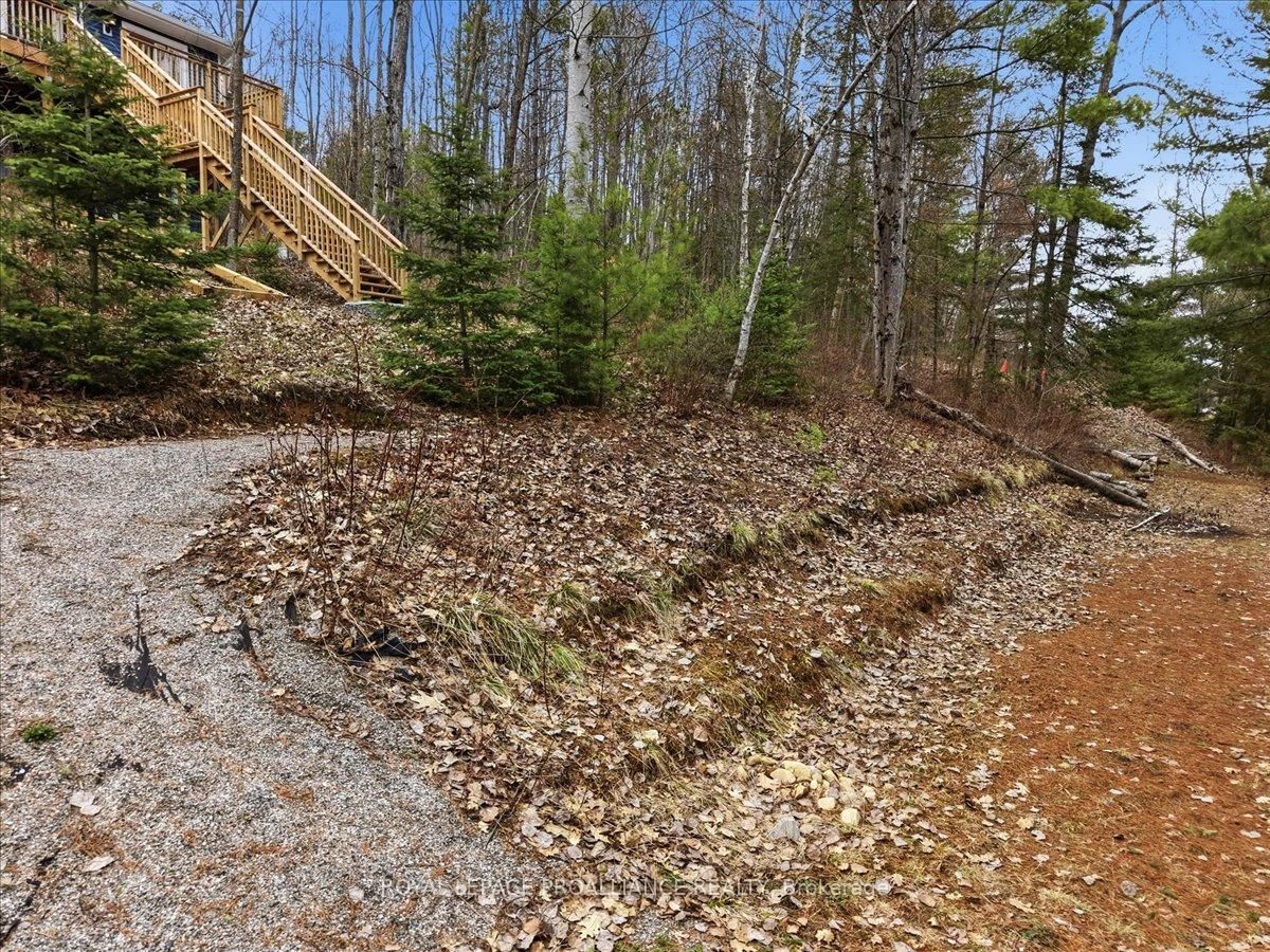 530 Addington Rd 5 • Cloyne, ON photo 31