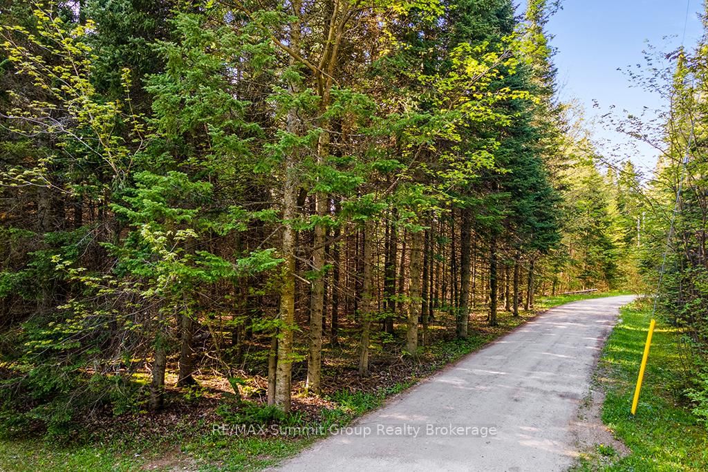 132 SOUTH VIEW Lane • Grey Highlands, ON photo 12