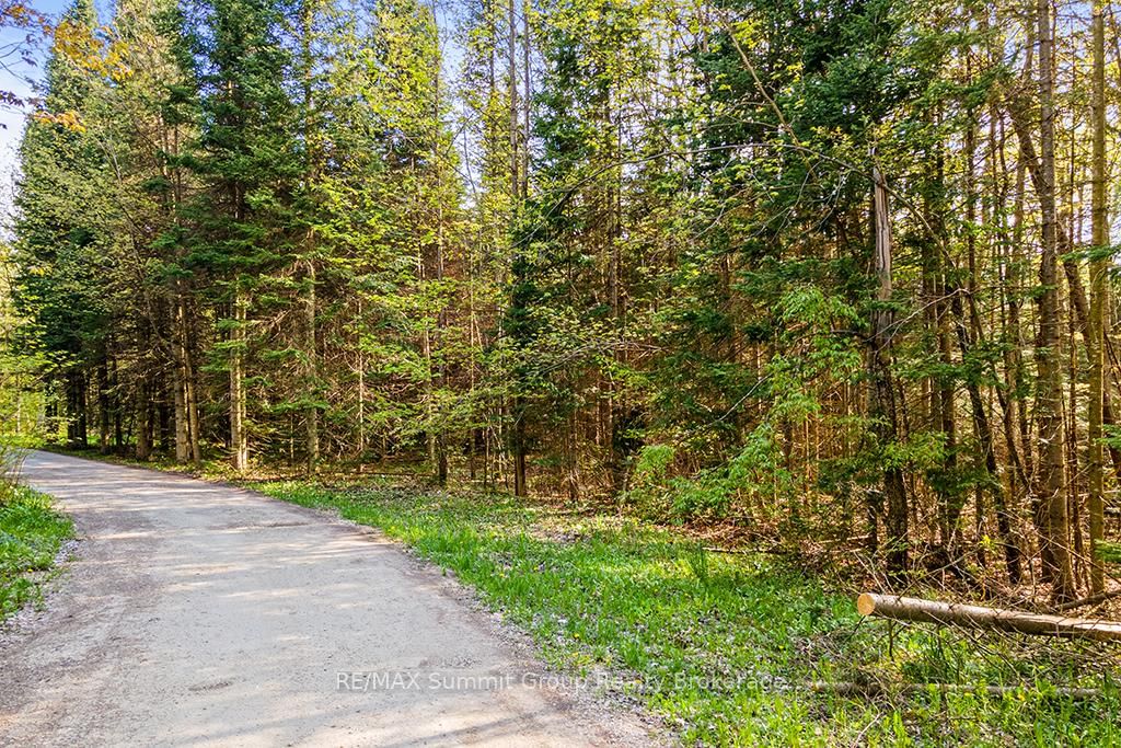 132 SOUTH VIEW Lane • Grey Highlands, ON photo 13