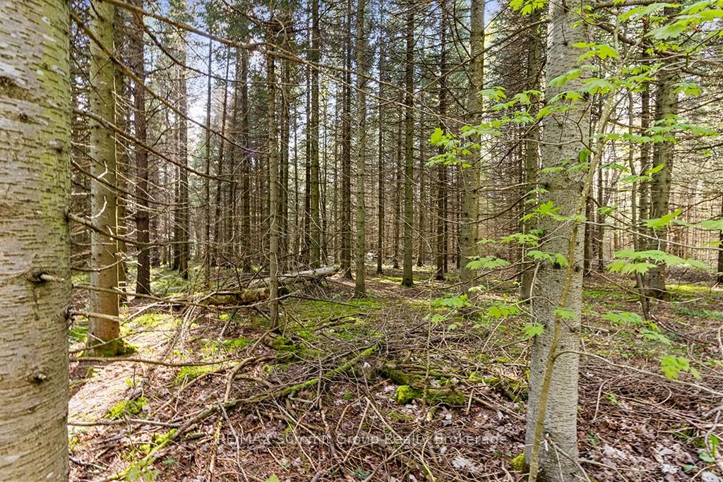132 SOUTH VIEW Lane • Grey Highlands, ON photo 14