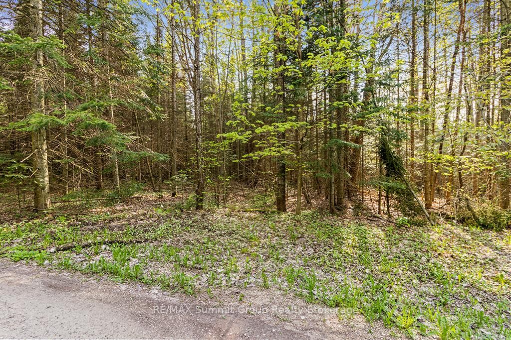 132 SOUTH VIEW Lane • Grey Highlands, ON photo 15