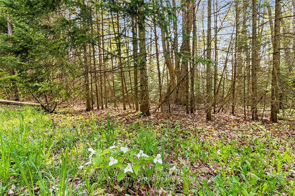 132 SOUTH VIEW Lane • Grey Highlands, ON photo 16