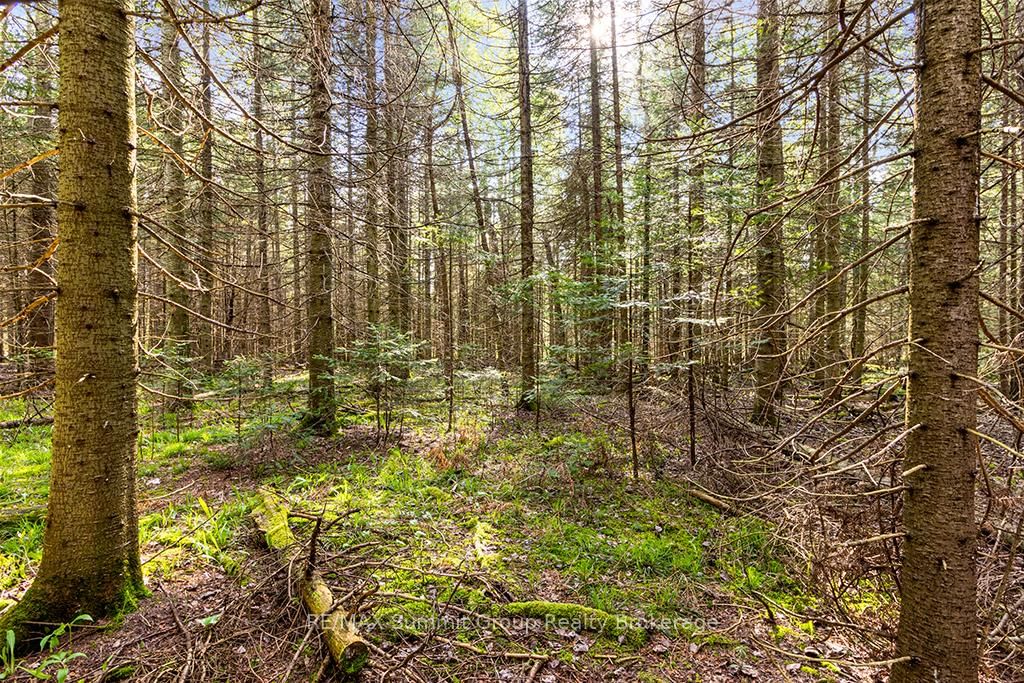 132 SOUTH VIEW Lane • Grey Highlands, ON photo 20