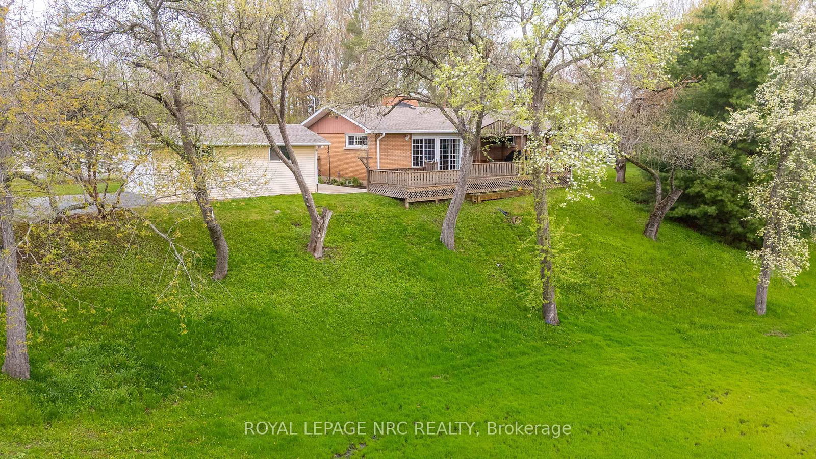 53 Pearson Road • Welland, ON photo 6