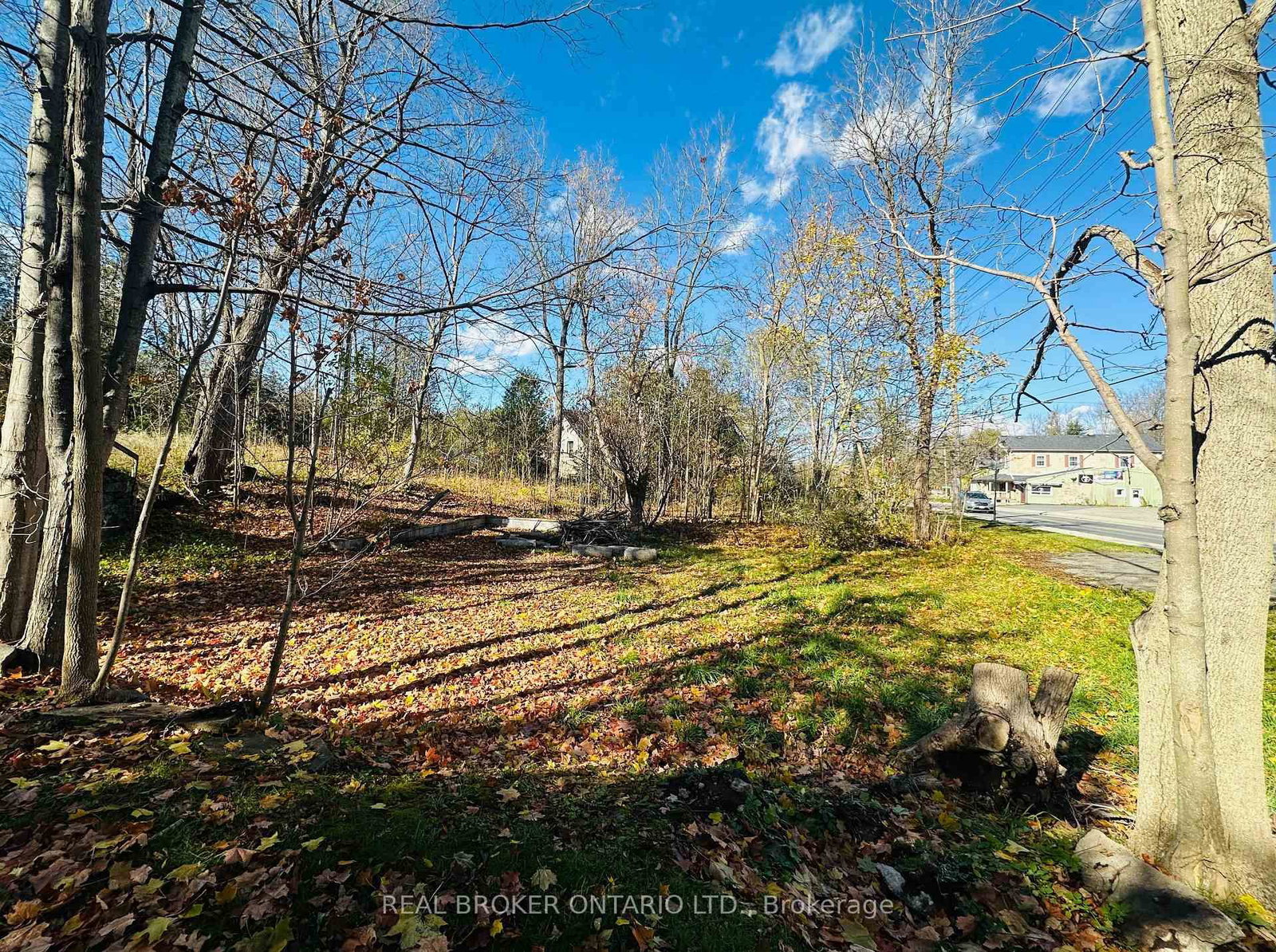 285 Main Street S - Photo 9