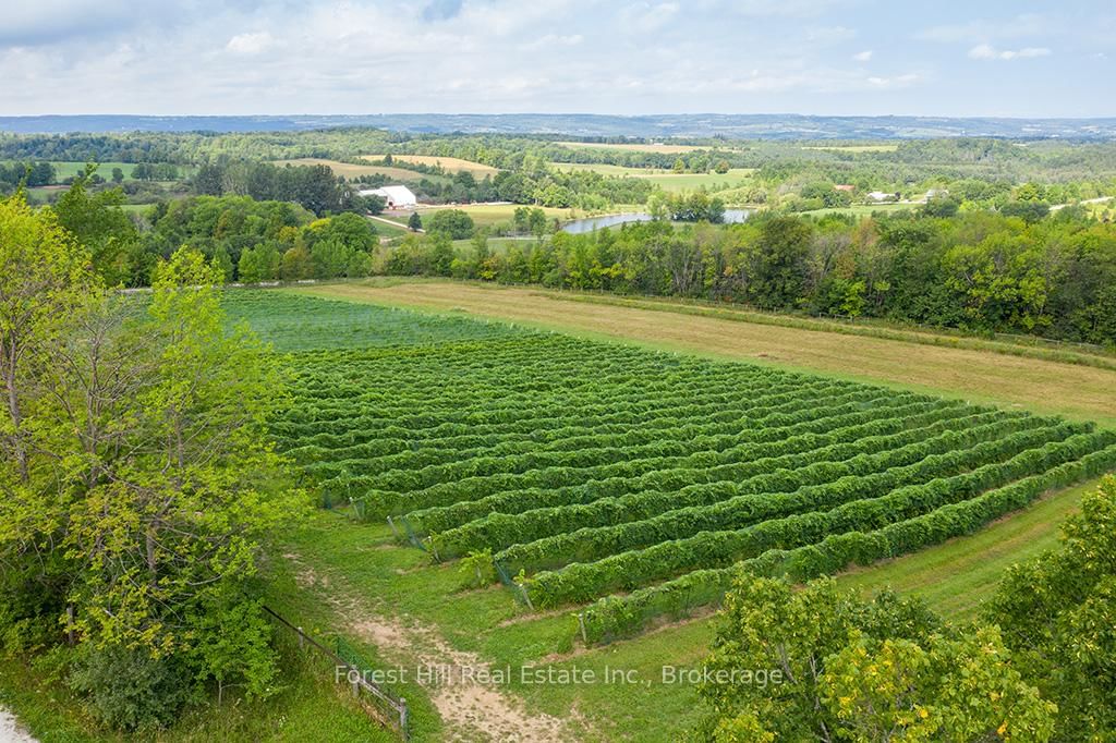 415763 10th Line • Blue Mountains, ON photo 10