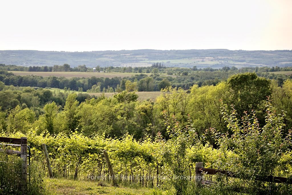 415763 10th Line • Blue Mountains, ON photo 13