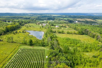 415763 10th Line • Blue Mountains, ON photo 8