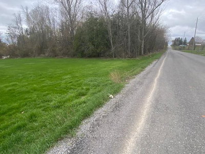 12771 Telephone Road • Cramahe, ON photo 3