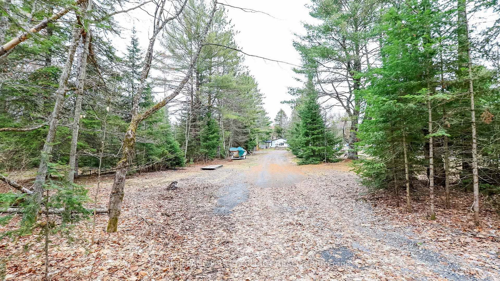 1088 Colony Road • Lake of Bays, ON photo 15