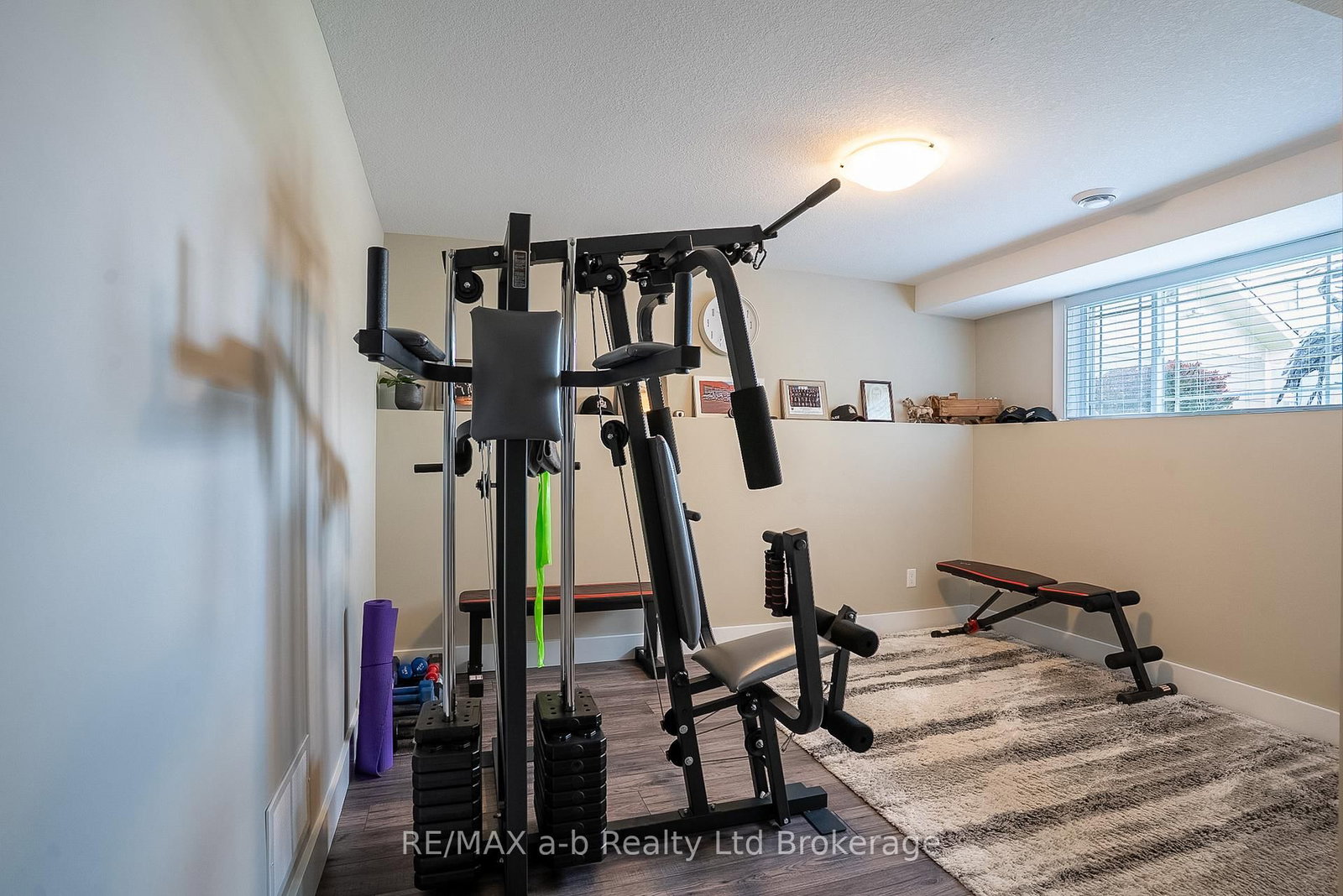 136 Maple Lane • Tillsonburg, ON photo 23