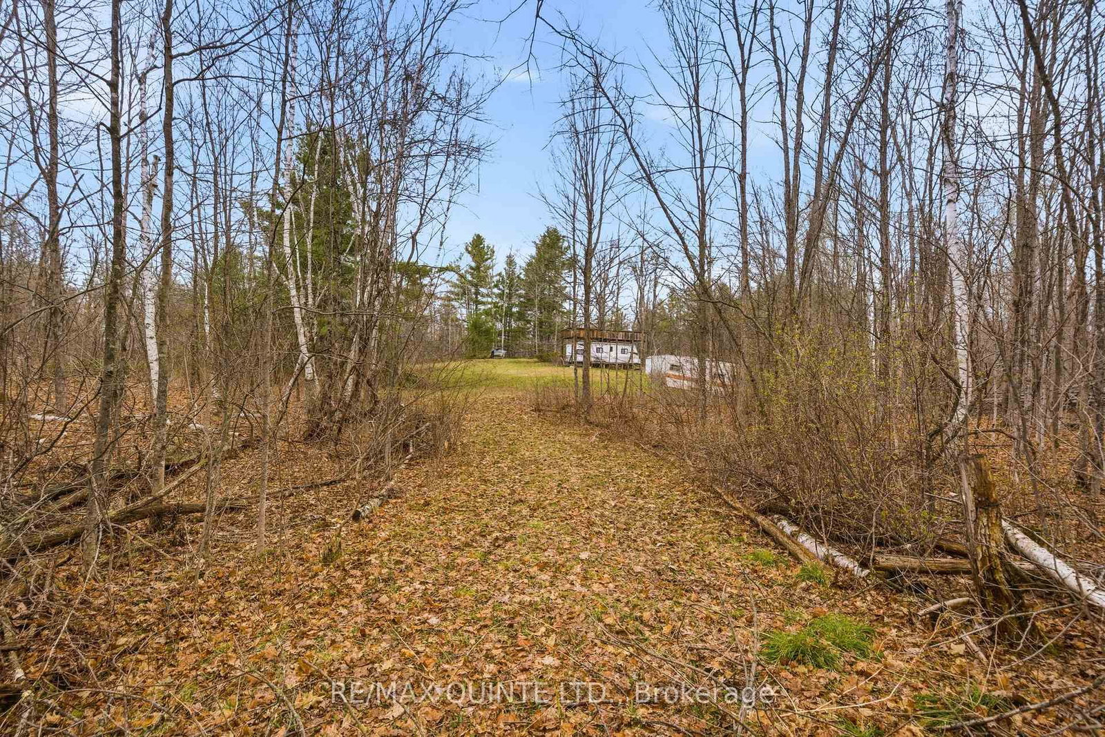 87 Gull Creek Lane • Arden, ON photo 14