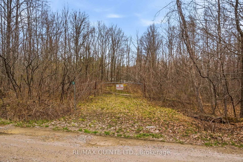87 Gull Creek Lane