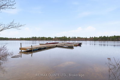 87 Gull Creek Lane • Arden, ON photo 4