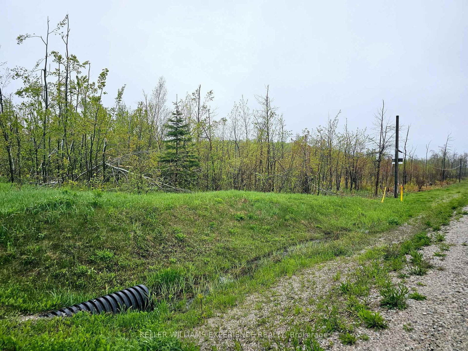 Pt LT 18 Con 11 HWY 26 • Meaford, ON photo 4