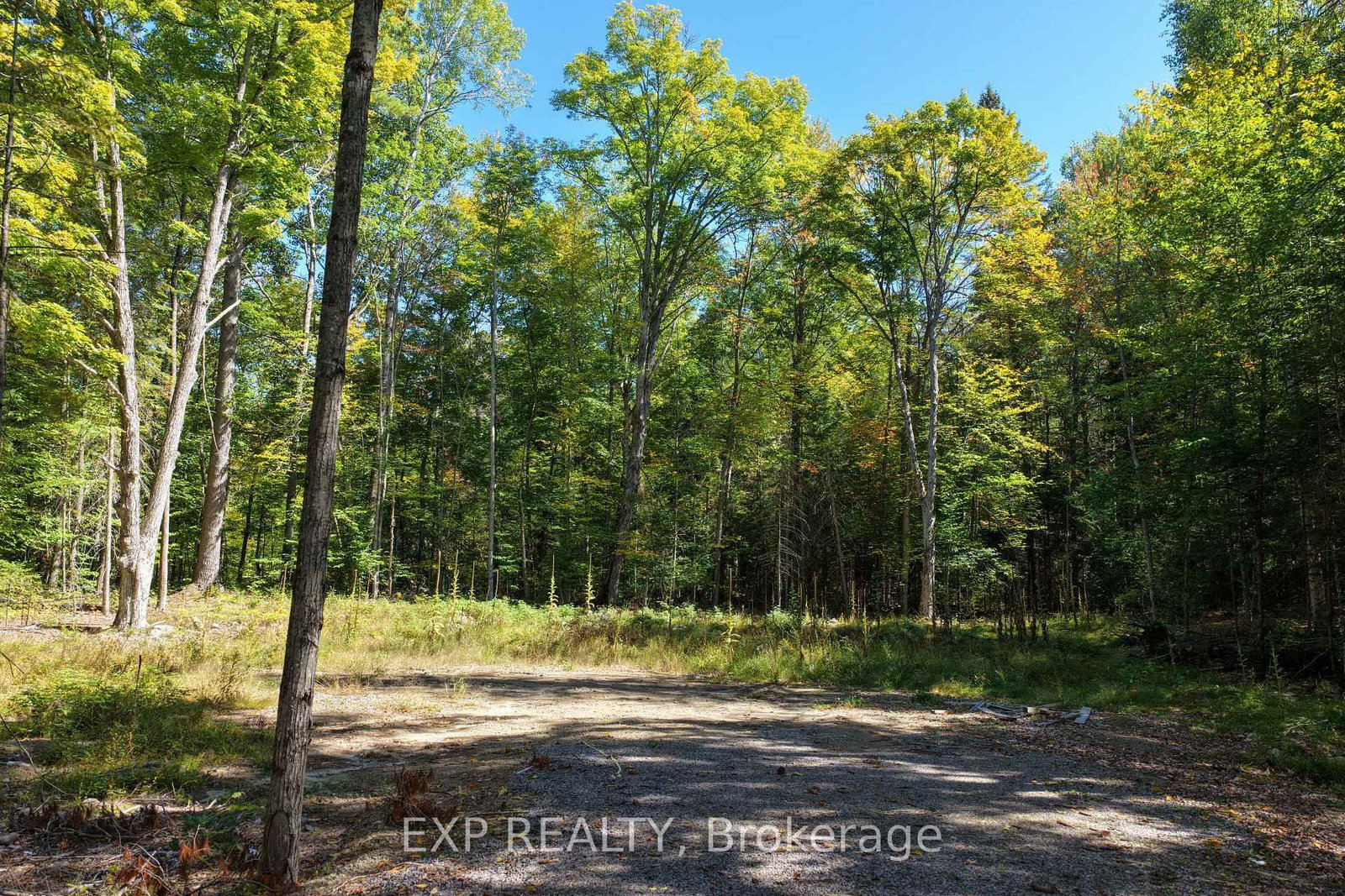 Lot 21 Lakewoods Drive • Barry's Bay, ON photo 4