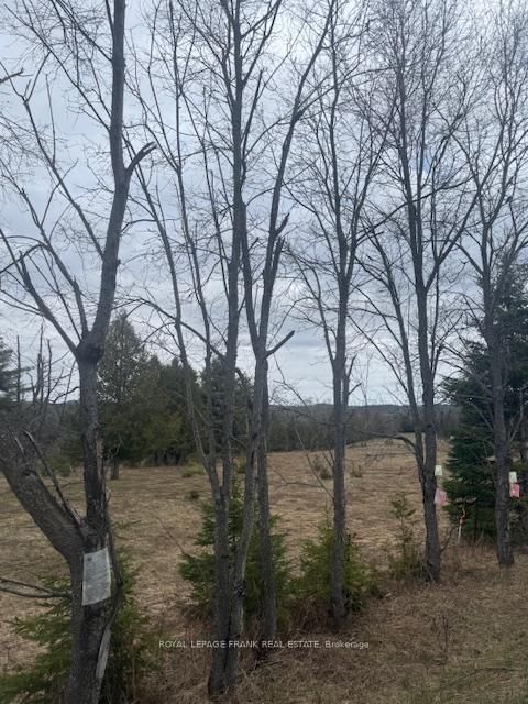 Lot 2 Detlor Road