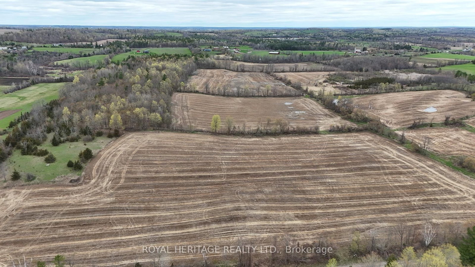298 6th Line W • Trent Hills, ON photo 3