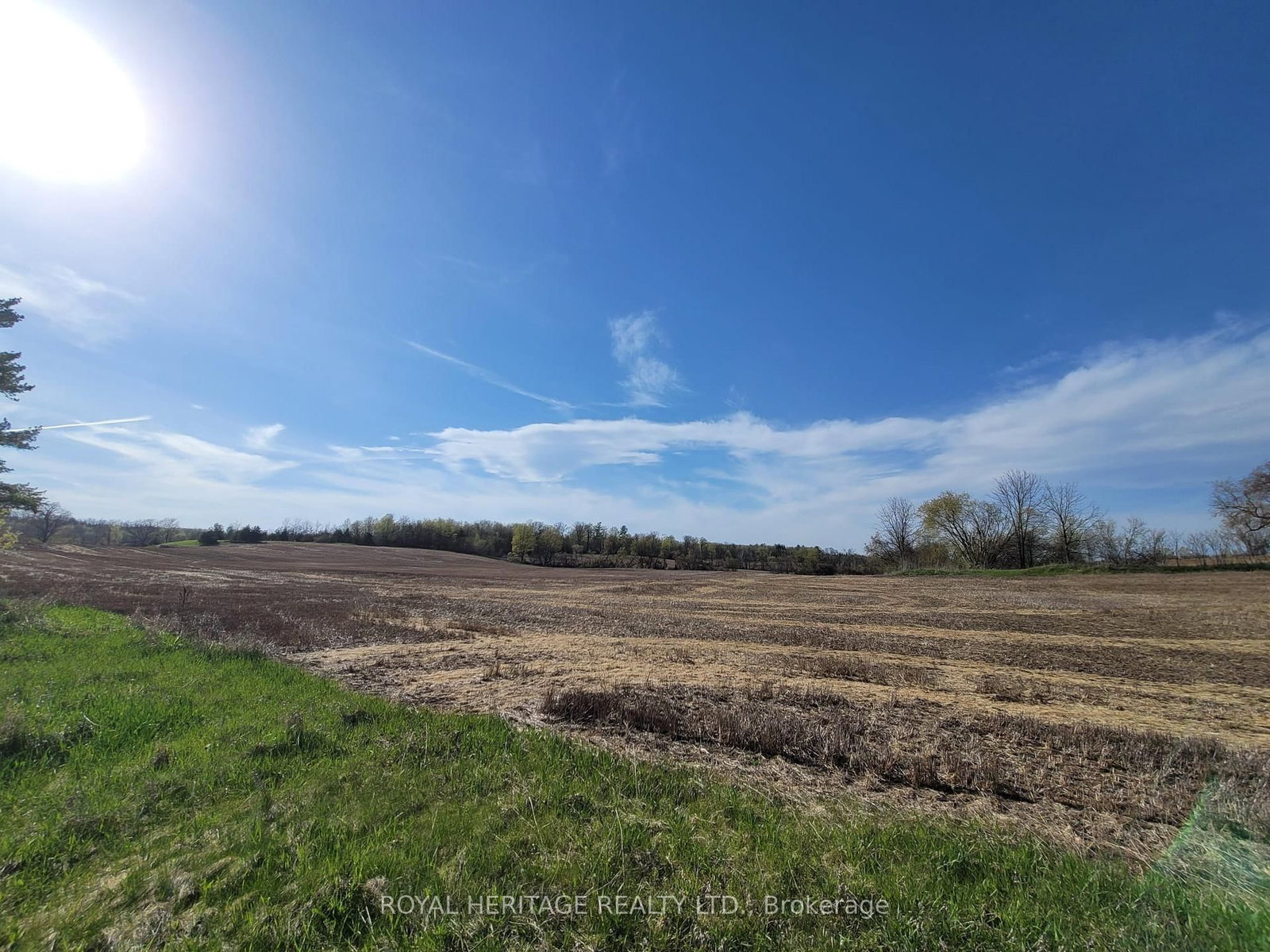 298 6th Line W • Trent Hills, ON photo 4