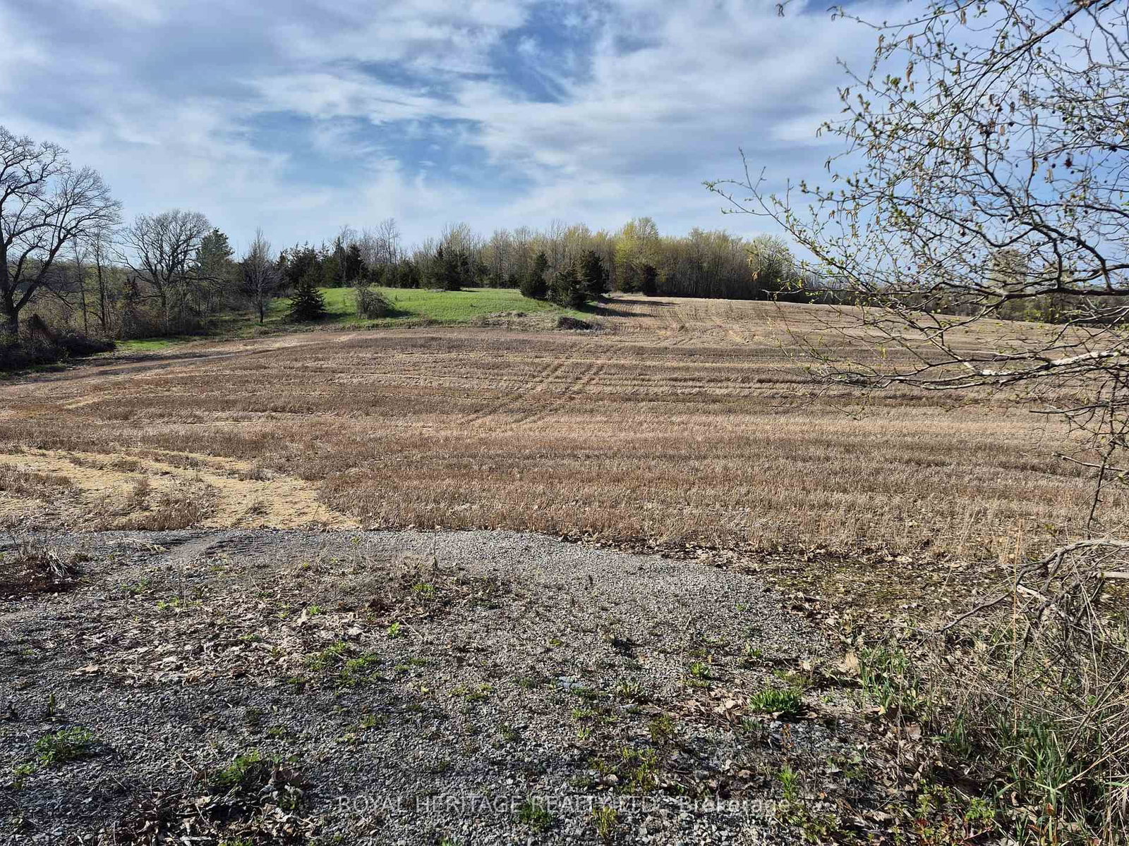 298 6th Line W • Trent Hills, ON photo 6
