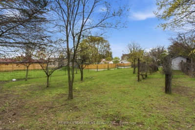 113 North Park Street • Brantford, ON photo 3