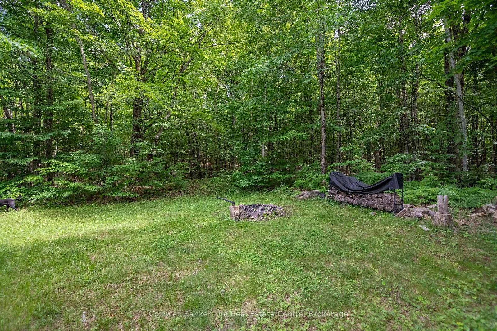 3016 118 Highway • Bracebridge, ON photo 36