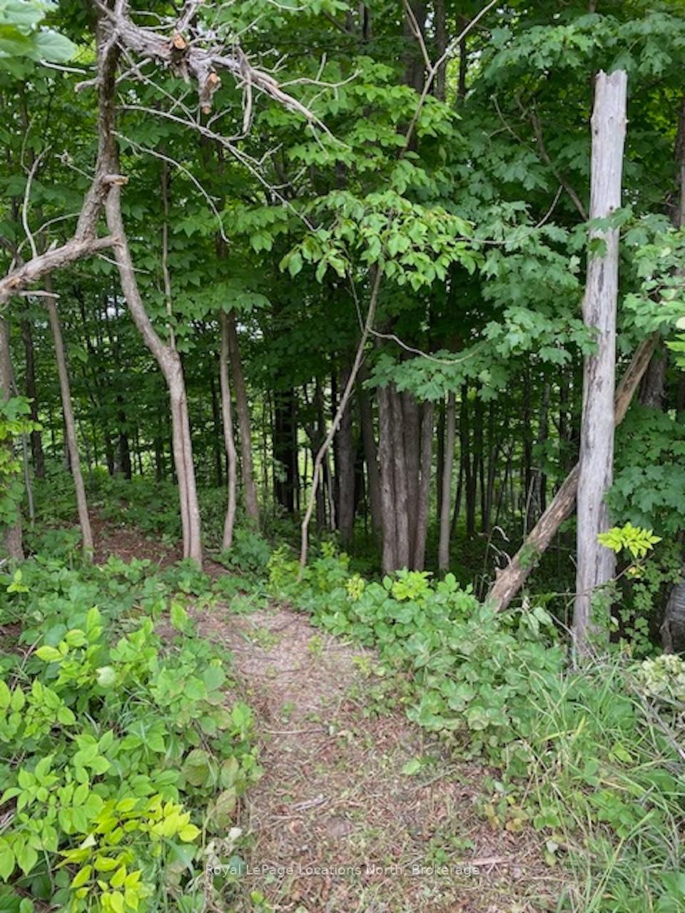 PTLT 40 12 Concession • Blue Mountains, ON photo 5
