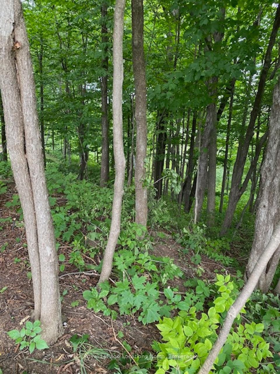 PTLT 40 12 Concession • Blue Mountains, ON photo 7