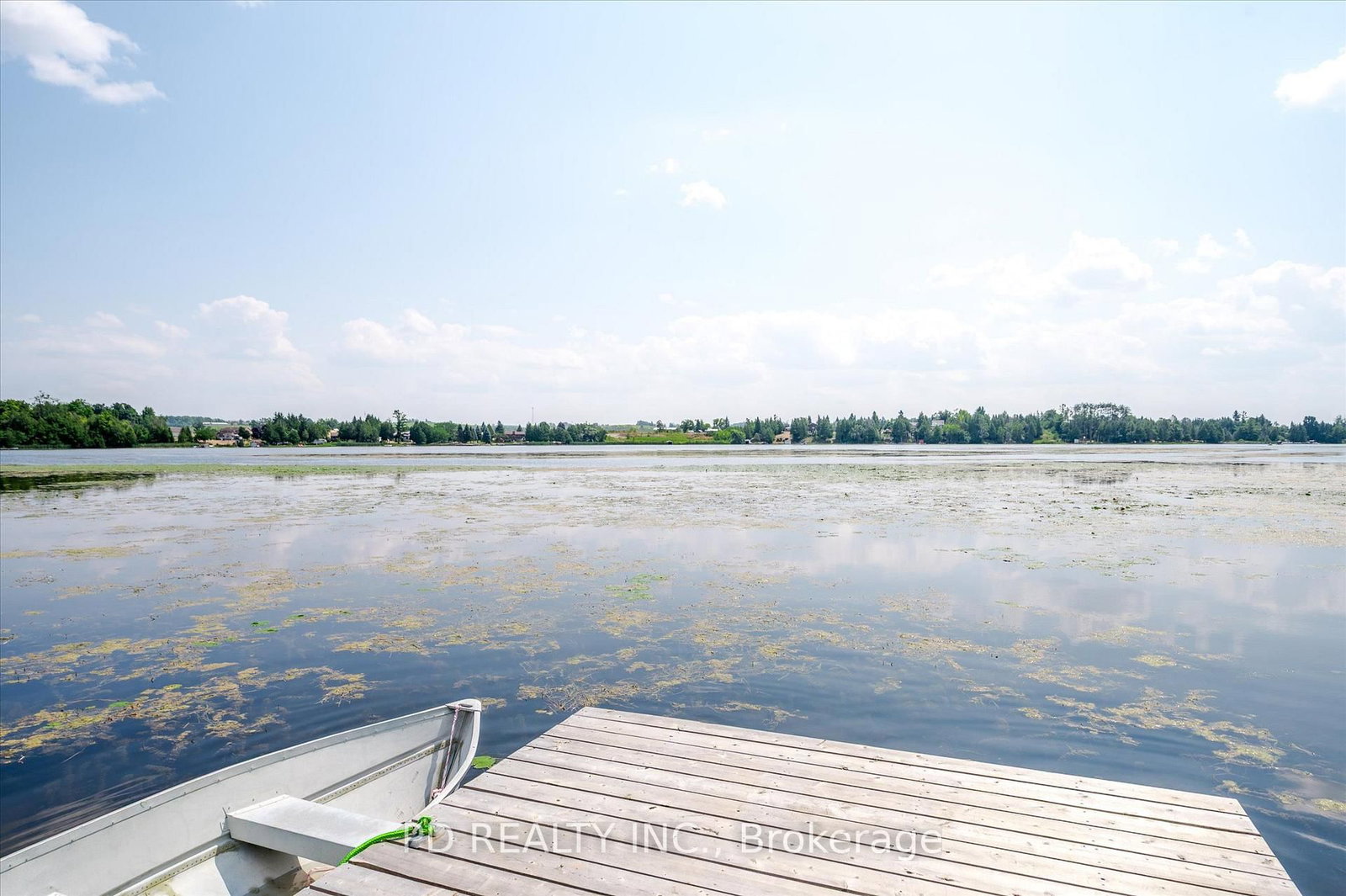 9 Charlotte Crescent • Kawartha Lakes, ON photo 42