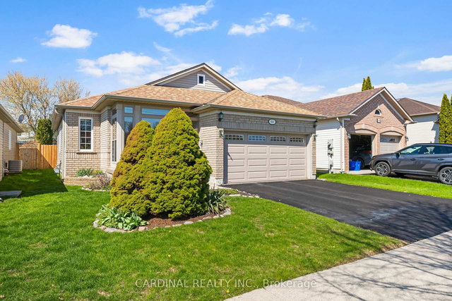 50 Rapley Boulevard