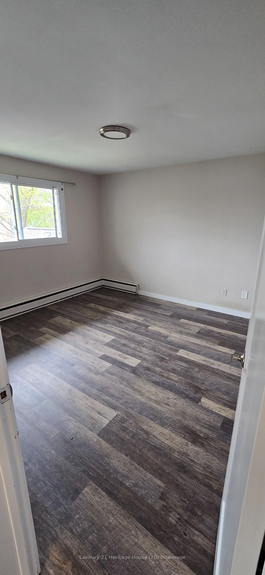 119 Louisa Street - Photo 8