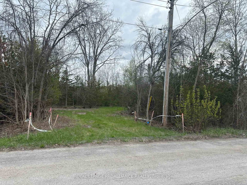 147 Peterson Street, Trenton