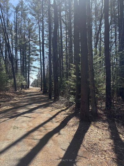 0 Kirkpatrick Lane • Bracebridge, ON photo 8