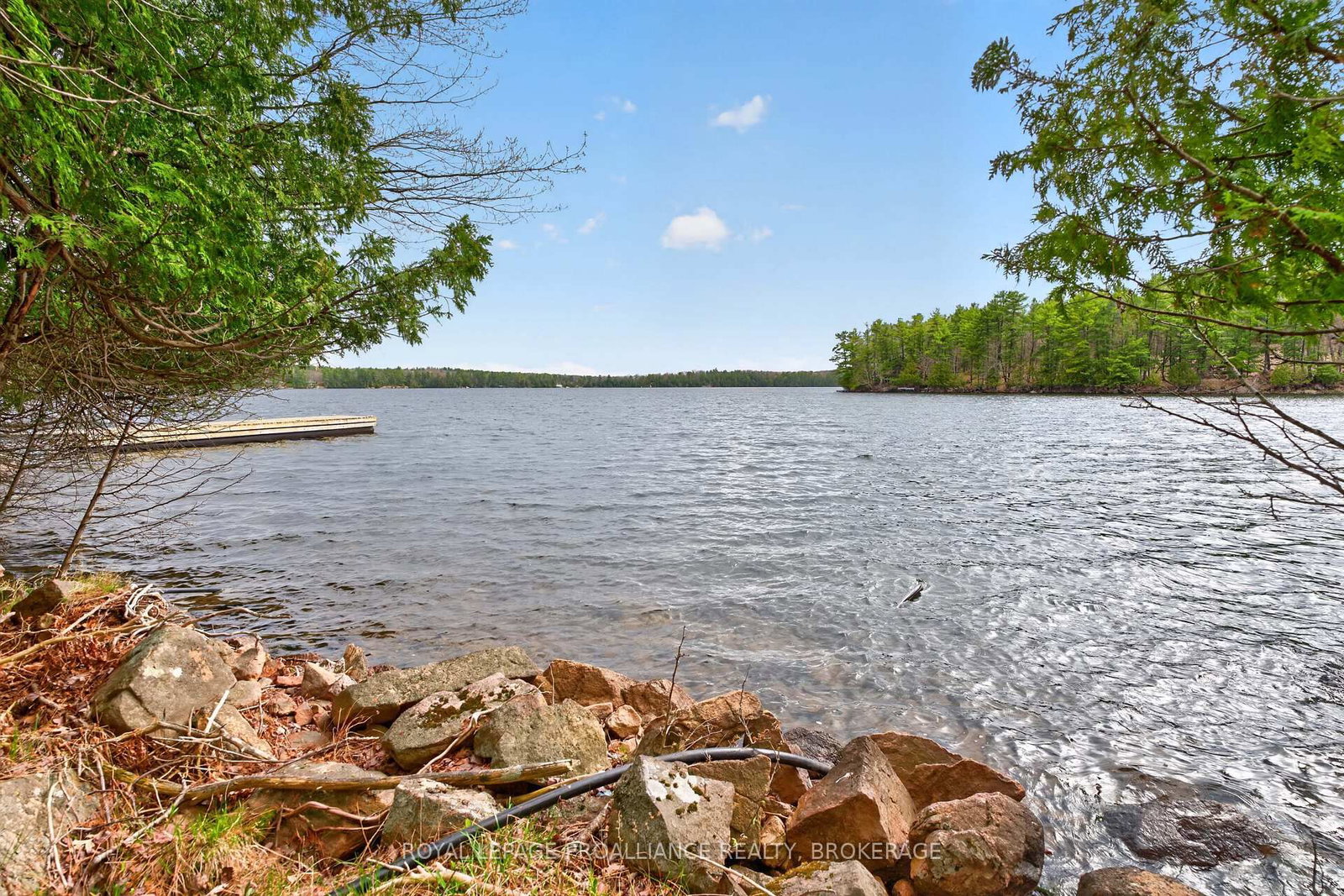 Listing Image 47