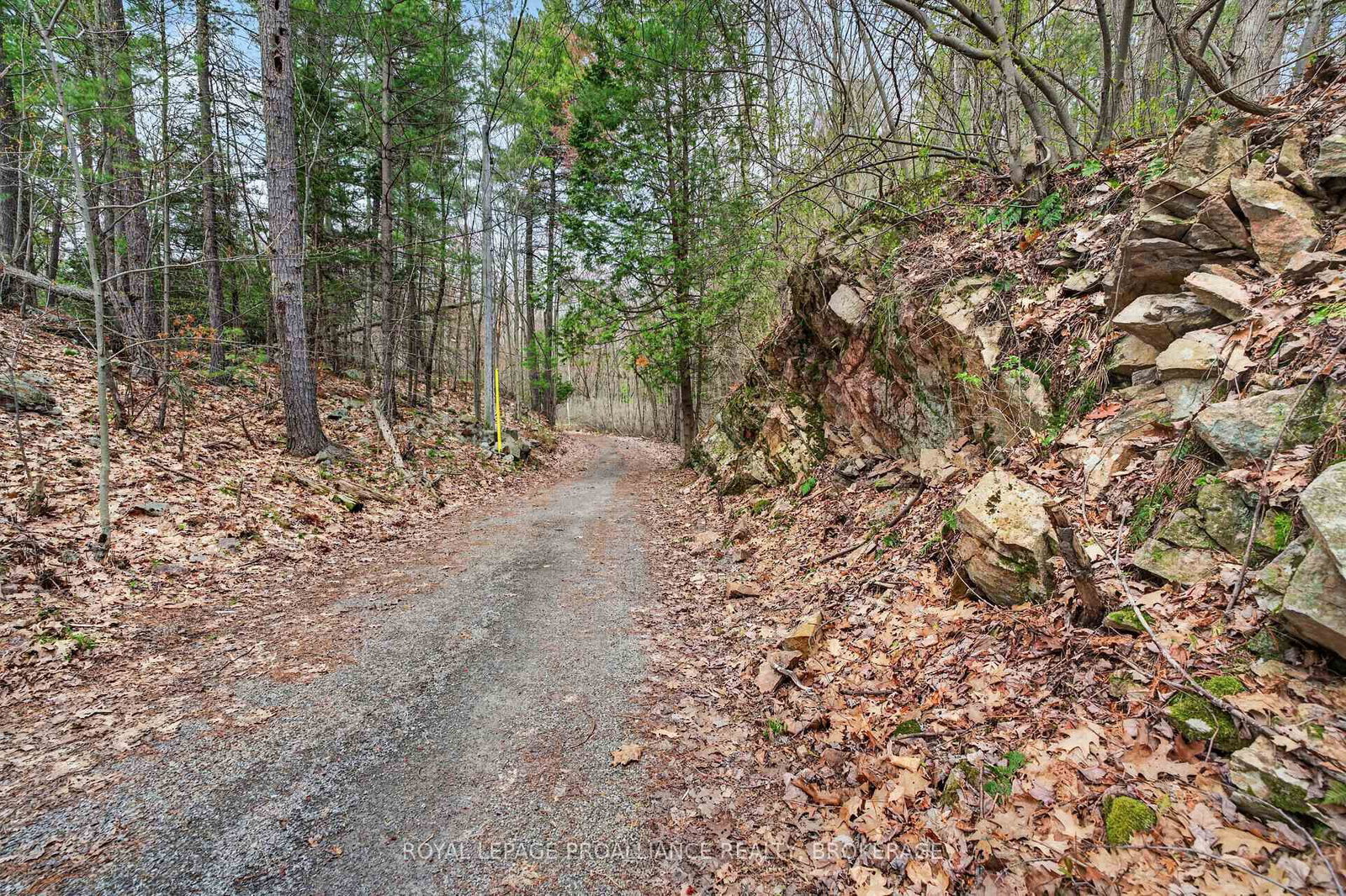 Listing Image 48