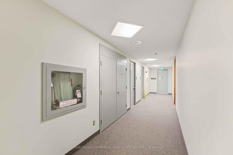 81 Metcalfe St photo 4