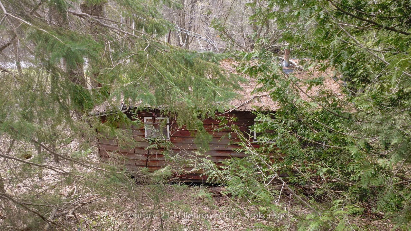 Listing Image 6