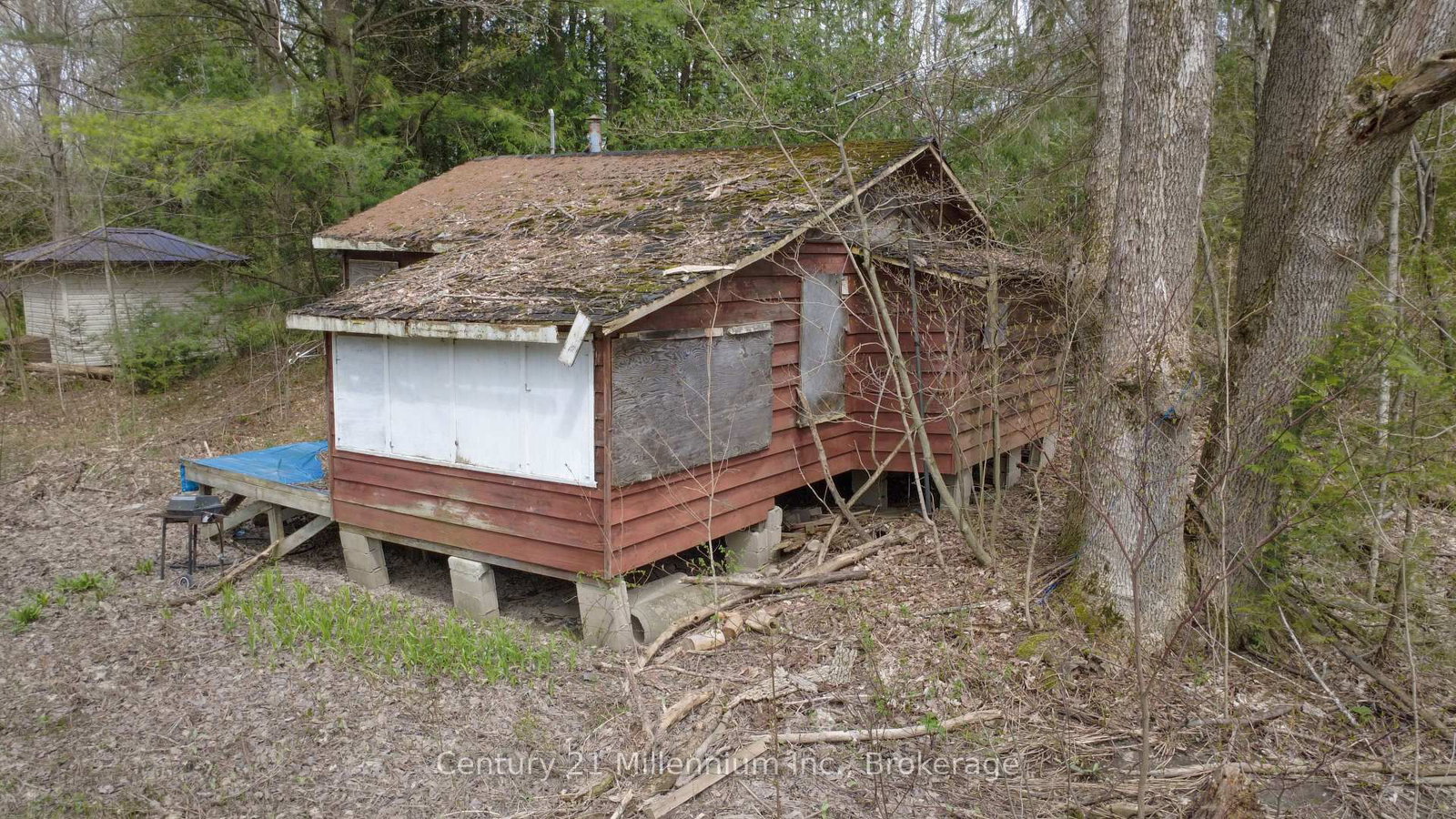 Listing Image 7
