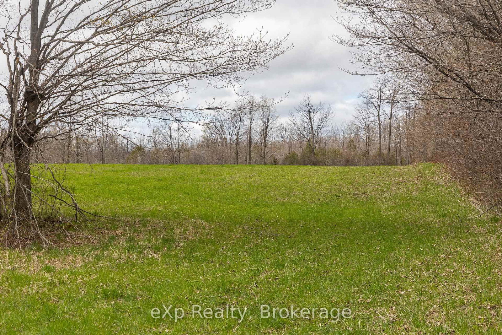 LOT 15 CONC 3 • Meaford, ON photo 11