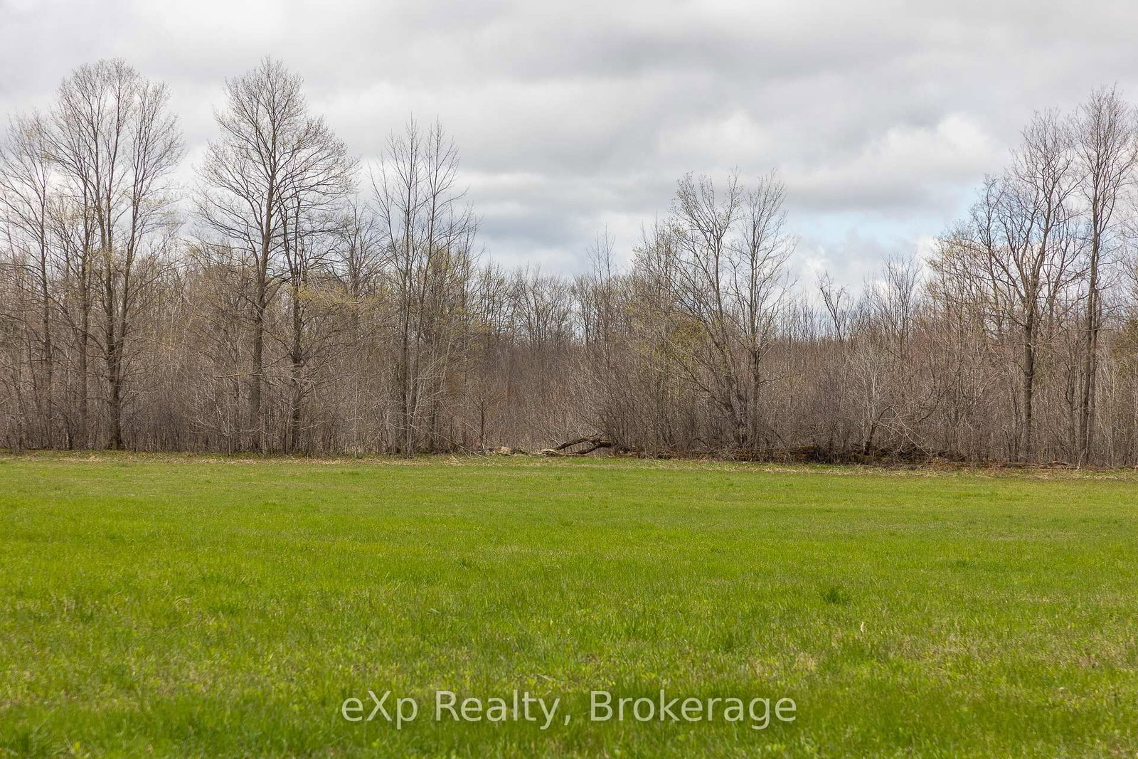 LOT 15 CONC 3 • Meaford, ON photo 14