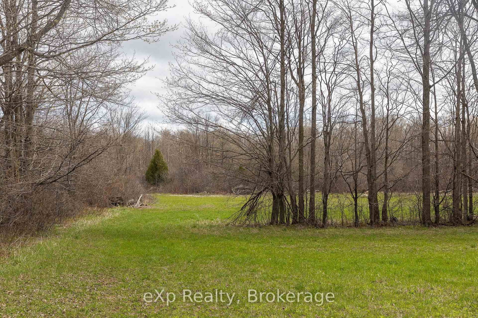 LOT 15 CONC 3 • Meaford, ON photo 15