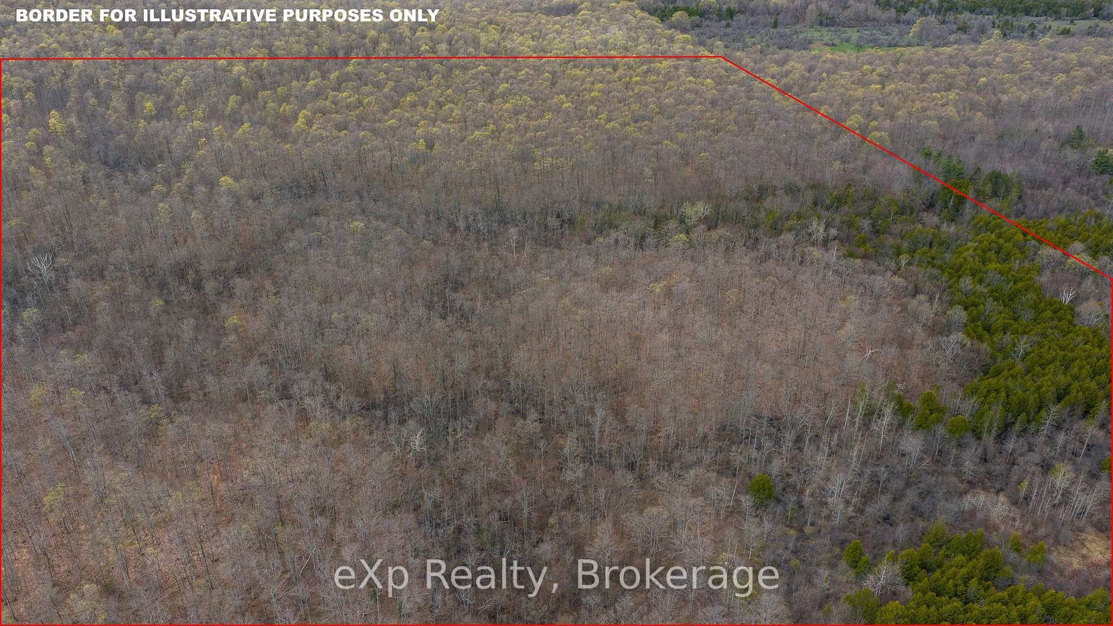LOT 15 CONC 3 • Meaford, ON photo 31