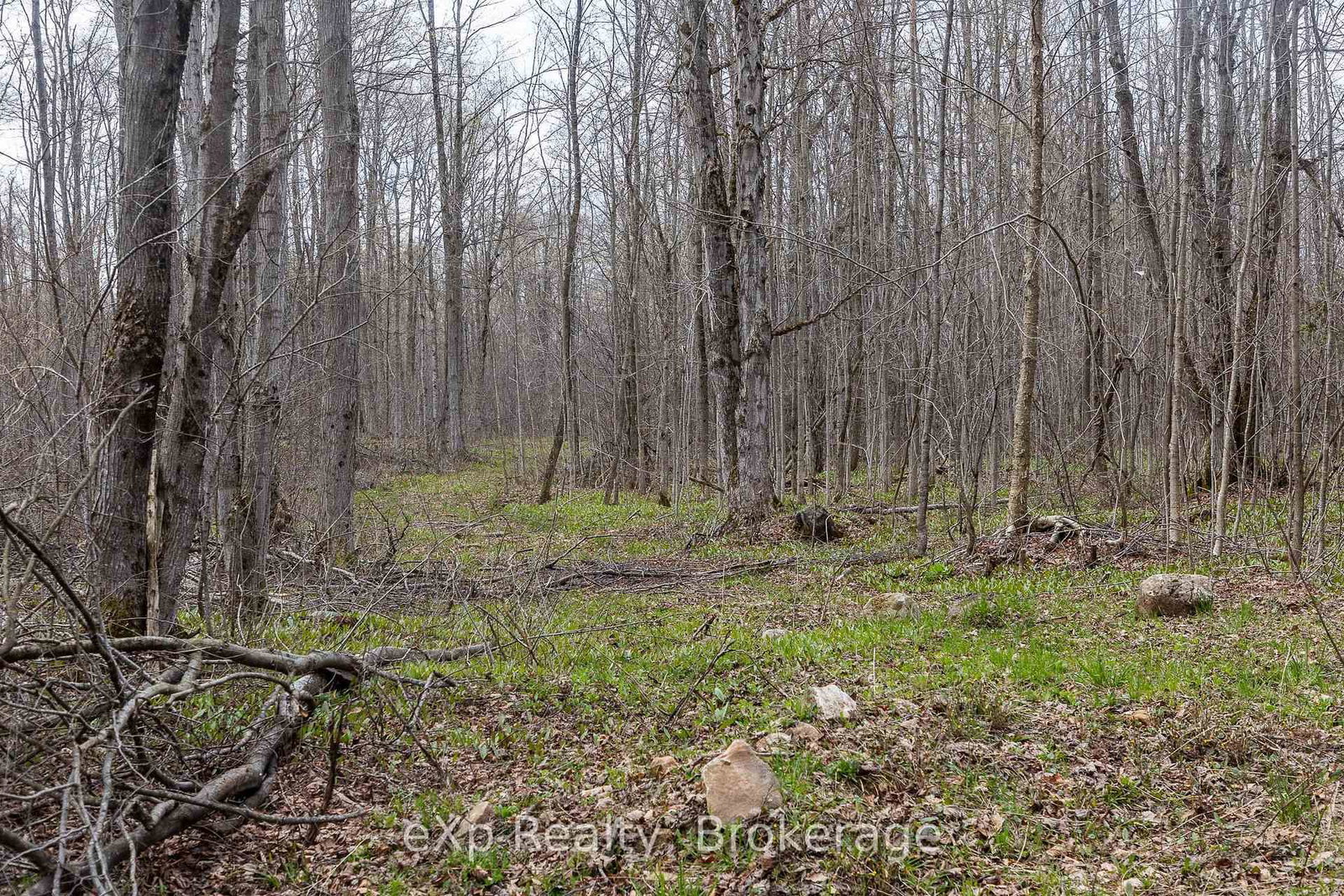 LOT 15 CONC 3 • Meaford, ON photo 6