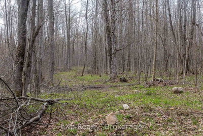 LOT 15 CONC 3 • Meaford, ON photo 6